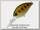 Воблер Zipbaits Hickory MDR ZR002R