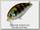 Воблер Zipbaits Hickory SSR 509R