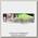 Воблер Zipbaits Khamsin DR 70мм 998 luminous chartlime