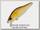 Воблер Zipbaits Khamsin jr 50JRSR 010R