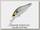 Воблер Zipbaits Khamsin jr DR 018R