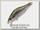 Воблер Zipbaits Khamsin jr SR SR 021R