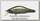 Воблер Zipbaits Khamsin SR 70мм 510R R silver shad