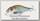 Воблер Zipbaits Khamsin tiny 40SP SR ZR-78R