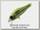 Воблер Zipbaits Rigge 35F 202R