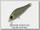 Воблер Zipbaits Rigge 35F 558R