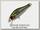 Воблер Zipbaits Rigge 35SS 510R