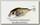 Воблер Zipbaits Rigge 56F 018R