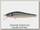 Воблер Zipbaits Rigge 56F 811