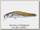Воблер Zipbaits Rigge 56F 854