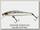 Воблер Zipbaits Rigge 56SP 203R