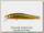 Воблер Zipbaits Rigge 70F 050