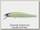 Воблер Zipbaits Rigge 70F 202R