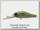Воблер Zipbaits Rigge deep 35F 202R