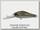 Воблер Zipbaits Rigge deep 35F 510R