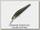Воблер Zipbaits Rigge deep 56F 021R