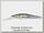 Воблер Zipbaits Rigge deep 90F 510R