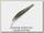 Воблер Zipbaits Rigge deep S-line 70S 021R