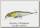 Воблер Zipbaits Rigge flat S-line 820R