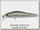 Воблер Zipbaits Rigge S-line 56S 300R