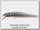 Воблер Zipbaits Rigge S-line 70S 821R