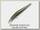 Воблер Zipbaits Rigge S-line 90S 021R