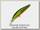 Воблер Zipbaits Rigge S-line MDR 830R