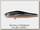 Воблер Zipbaits Rigge S-line MDR 840R