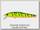 Воблер Zipbaits Rigge SP №070R