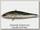 Воблер Zipbaits Rigge vib 63 510R
