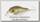 Воблер Zipbaits Rigge 35F rattler 851R