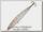 Воблер Zipbaits ZBL Slide swim minnow 120 725R