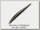 Воблер Zipbaits ZBL System minnow 50S 600R