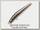 Воблер Zipbaits ZBL System minnow 7F 600R