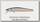 Воблер Zipbaits ZBL System minnow 7F 811R