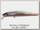 Воблер Zipbaits ZBL System minnow 9F tridal 821R